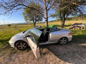 ������ Peugeot 307