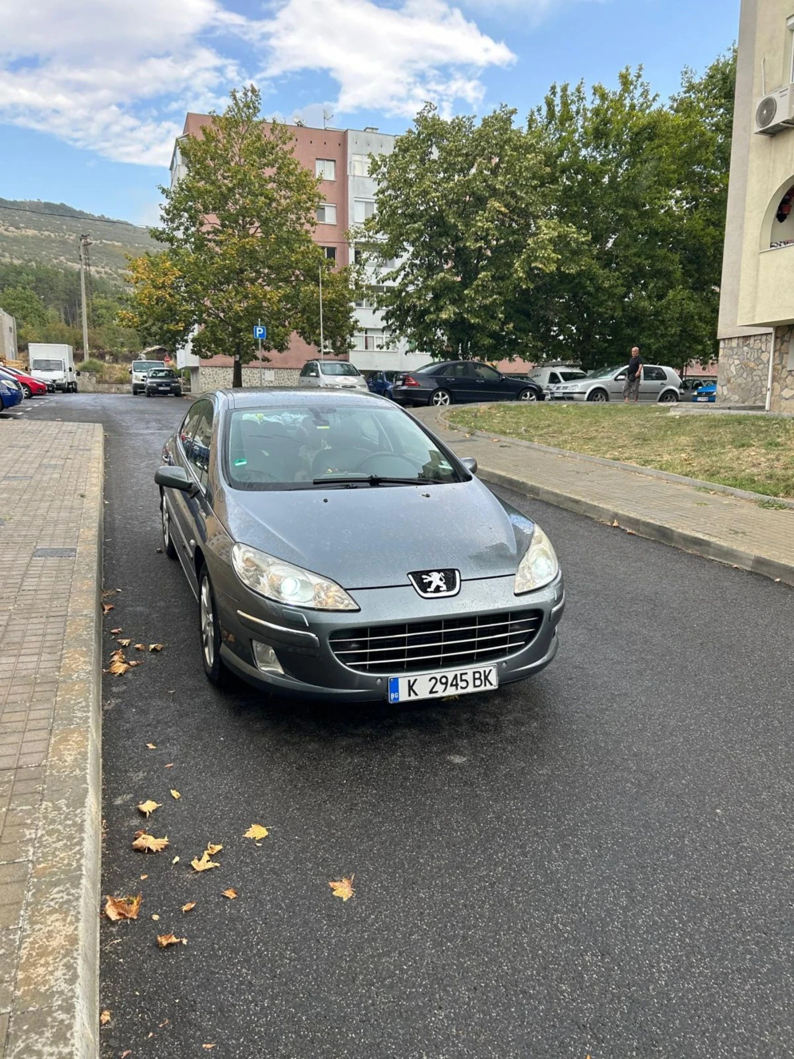 Peugeot 407  - изображение 4