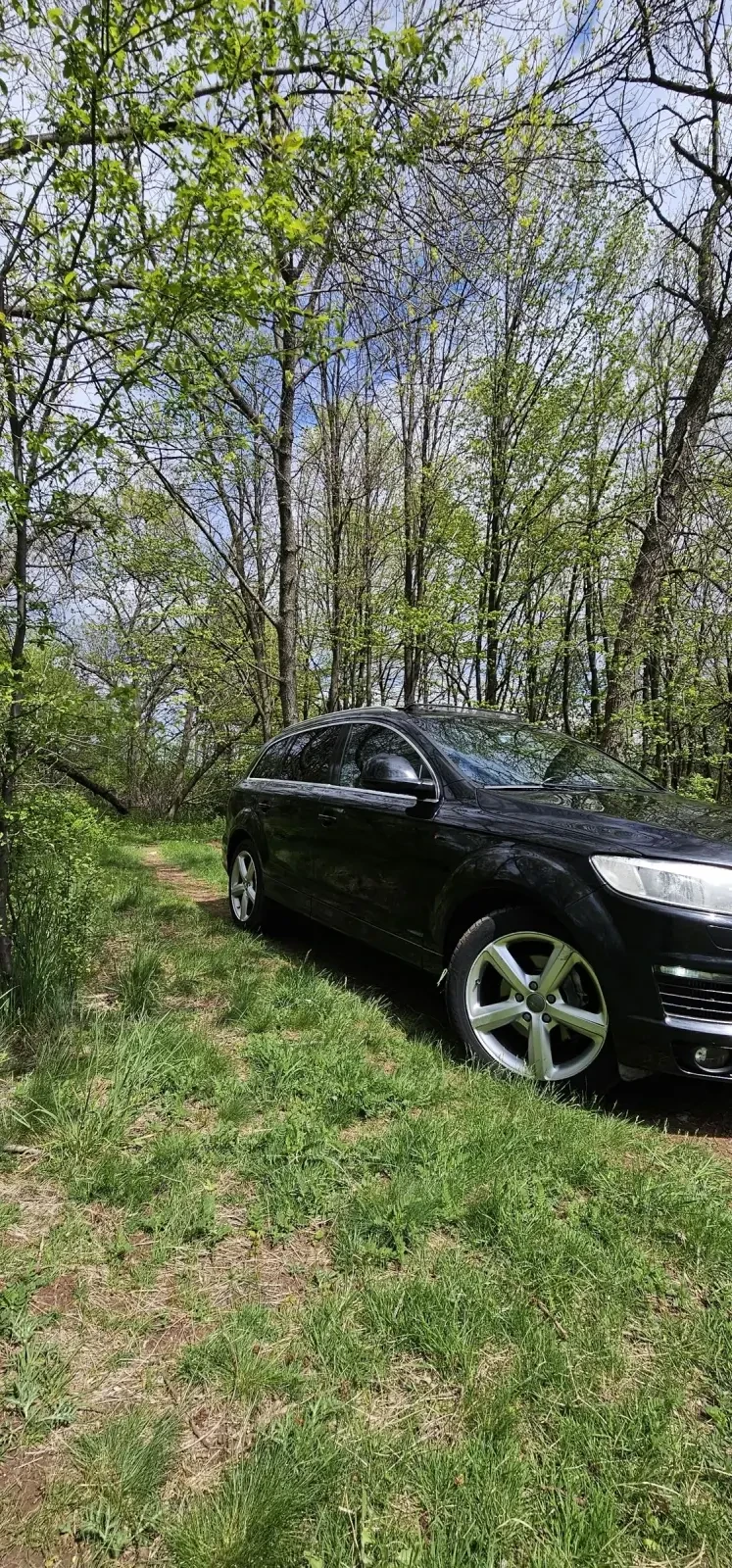 Audi Q7 4.2 TDI S-line 7 �����/��������/������ | Mobile.bg � ����������� 4