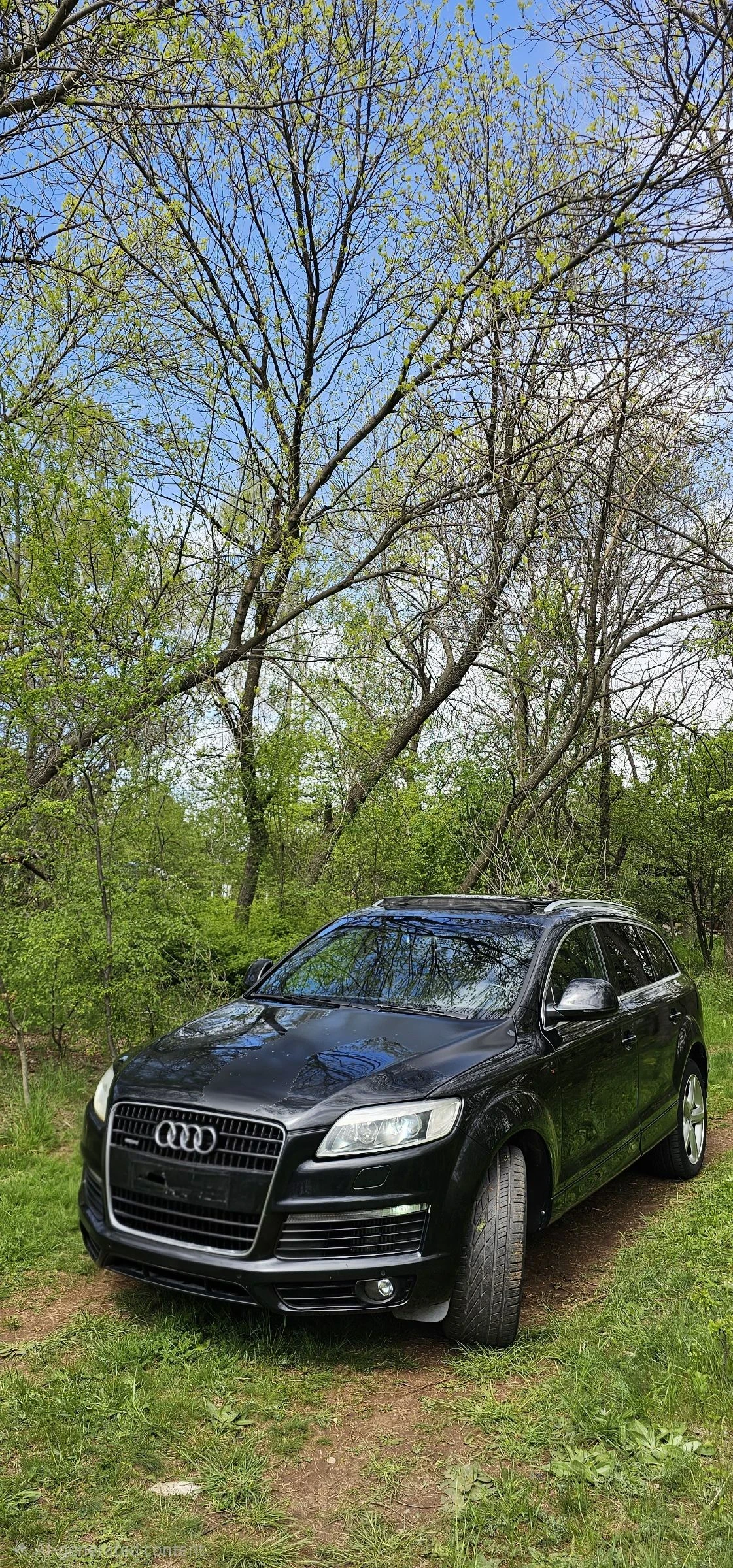 Audi Q7 4.2 TDI S-line 7 �����/��������/������ | Mobile.bg � ����������� 2