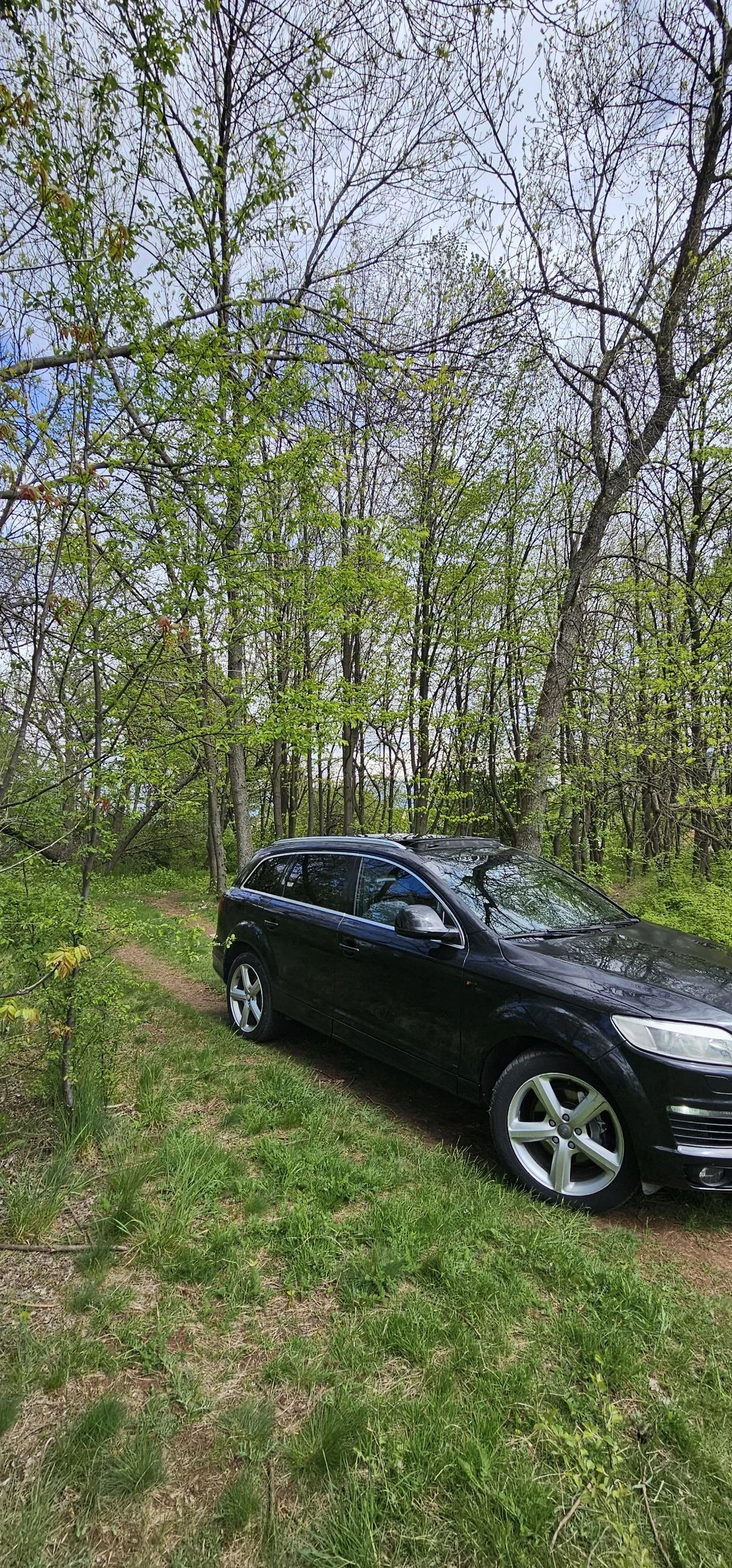 Audi Q7 4.2 TDI S-line 7 �����/��������/������ | Mobile.bg � ����������� 5