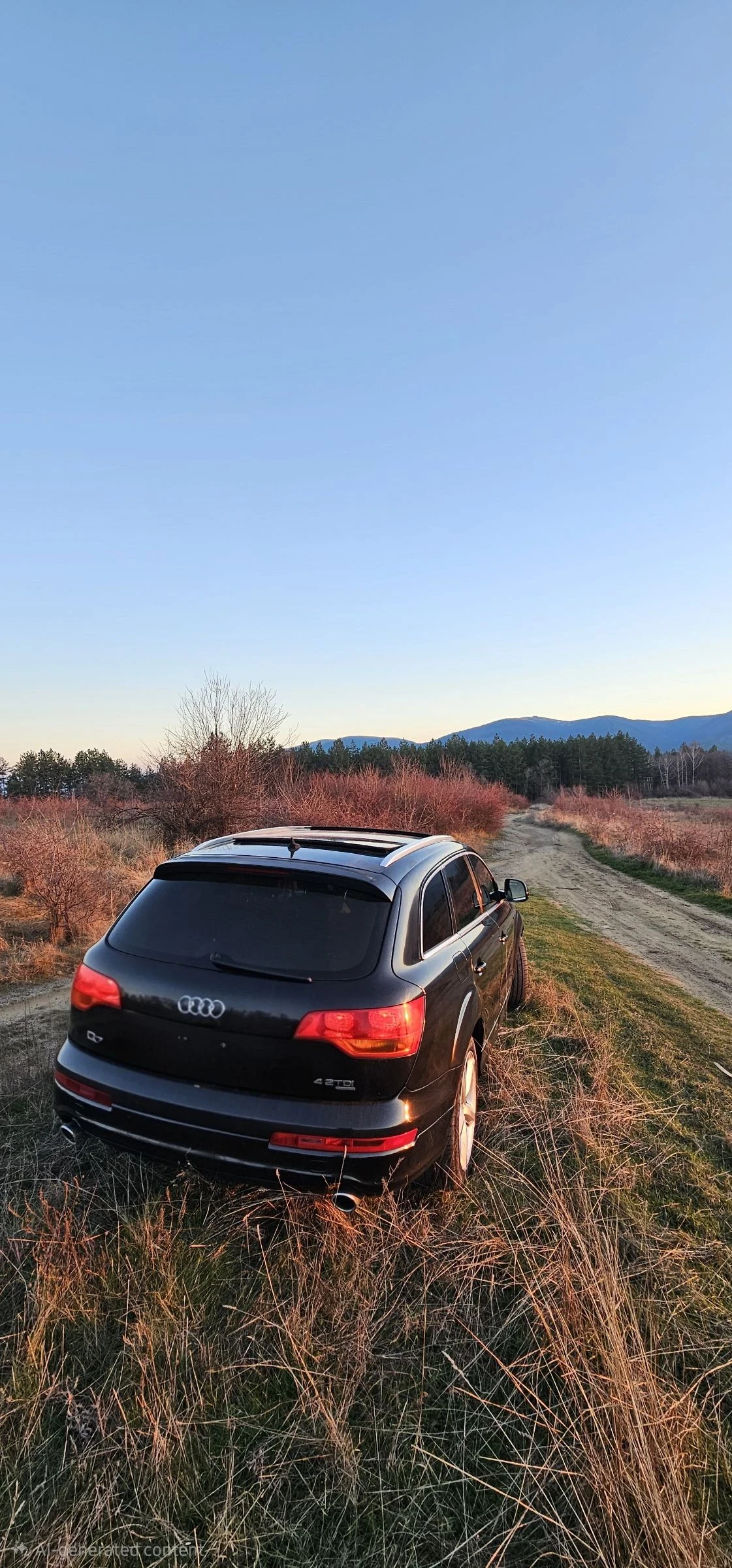 Audi Q7 4.2 TDI S-line 7 Места/Панорама/Теглич - изображение 4