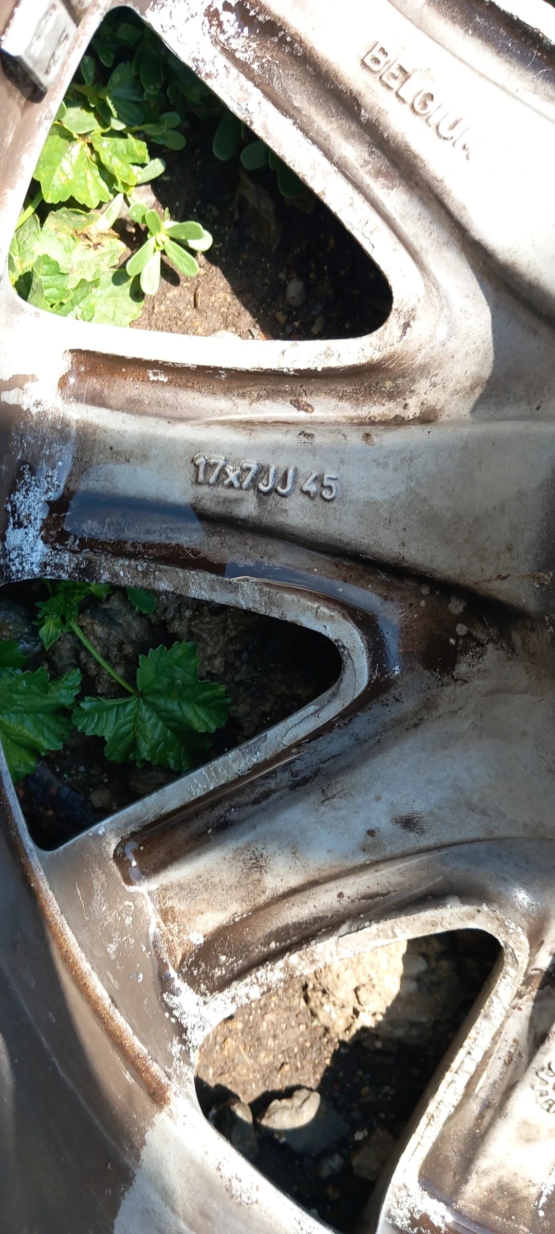 ���� � ������ 215/50R17 �� Nissan | Mobile.bg � ����������� 5
