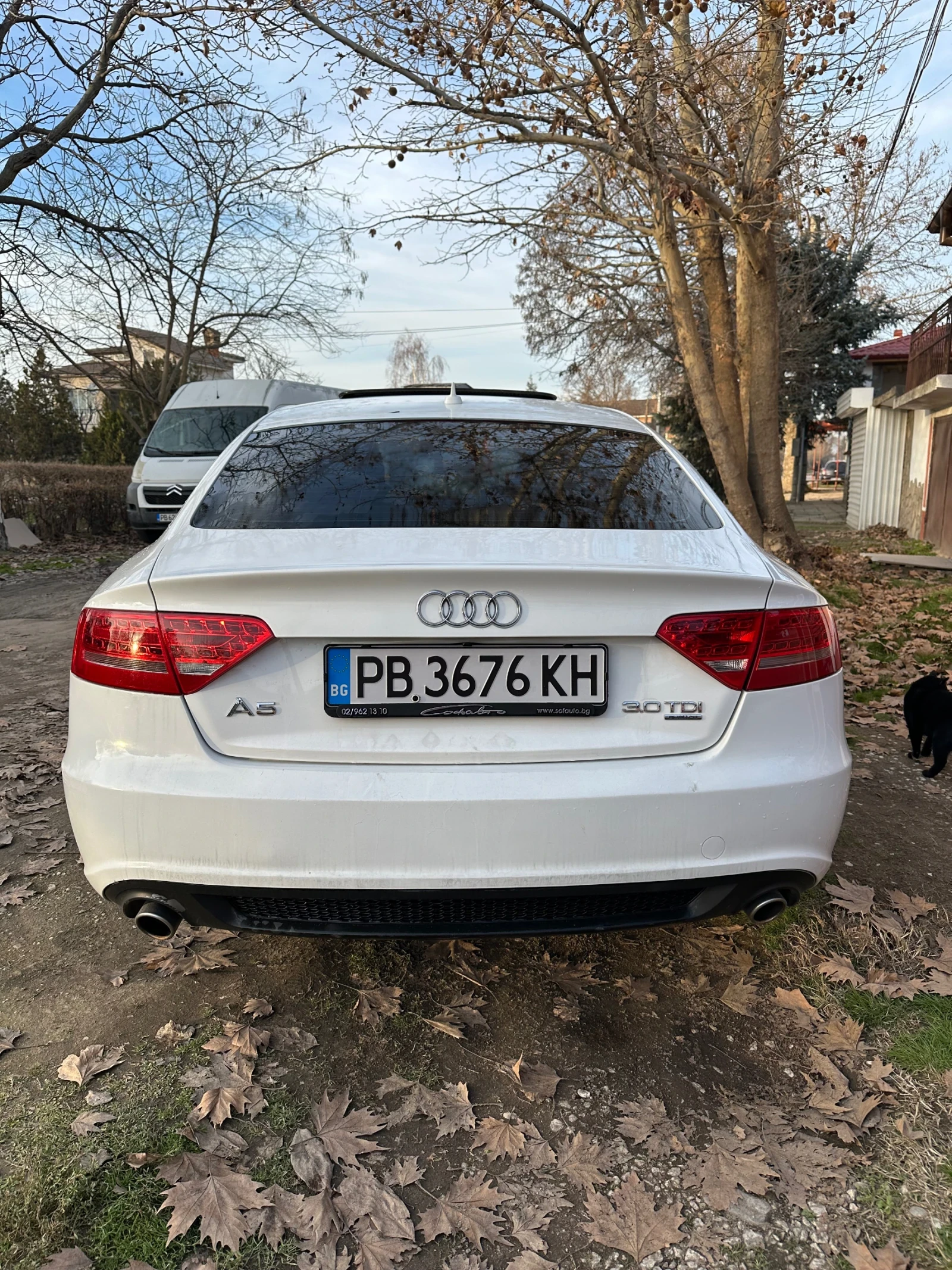 Audi A5 S-Line 2010г. 3.0 TDI - изображение 4