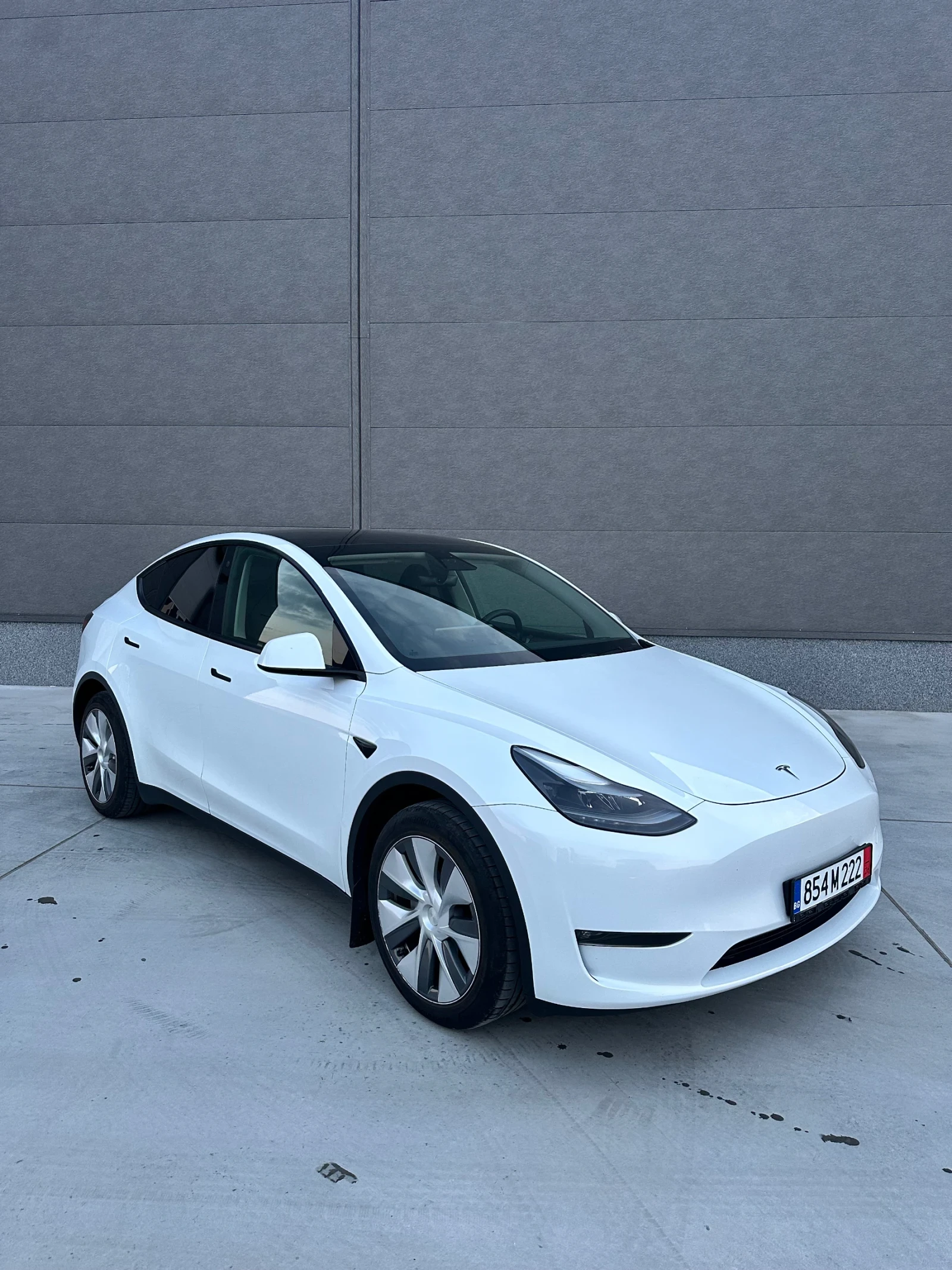 Tesla Model Y Long range Ryzen