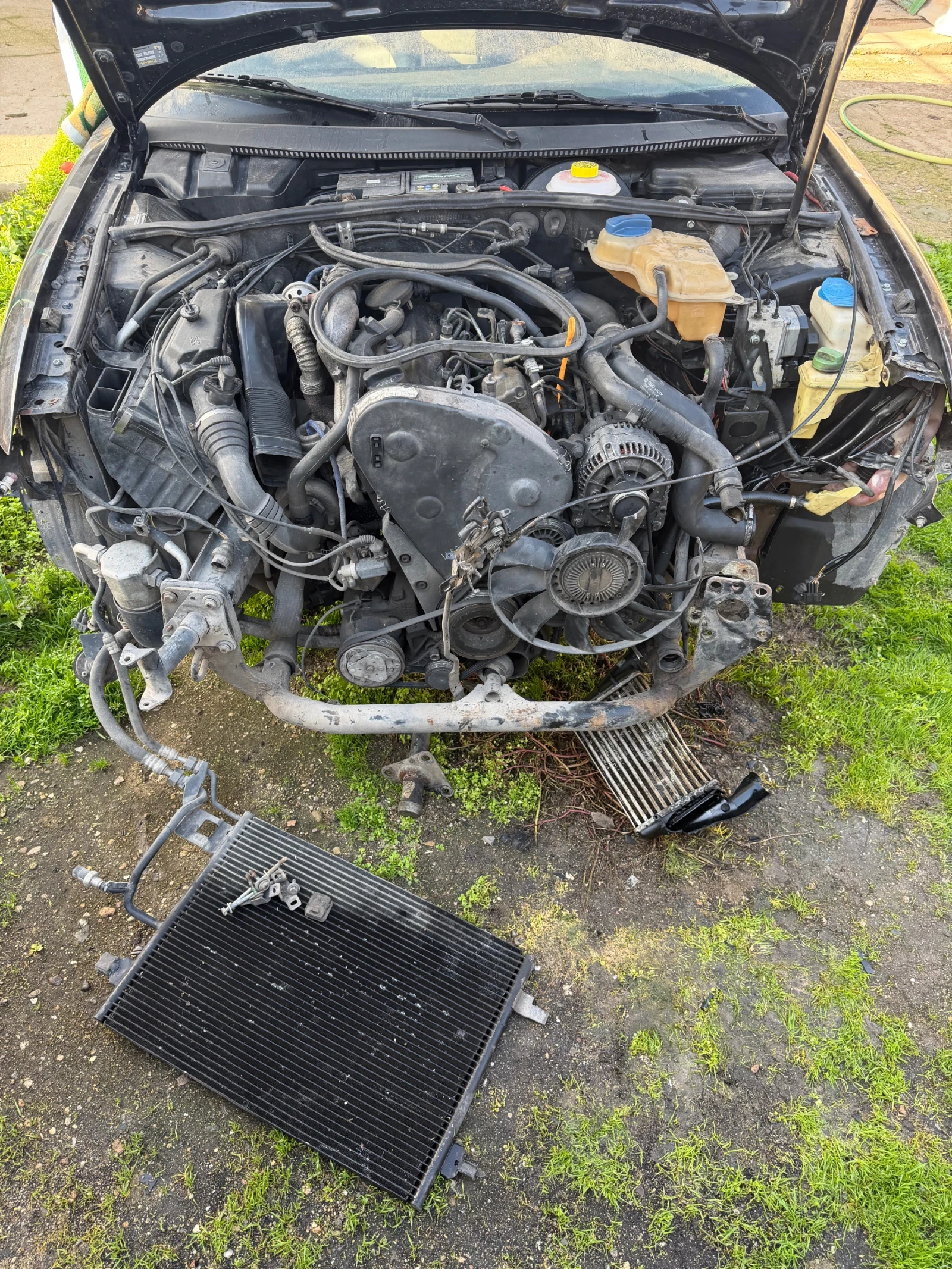 VW Passat  - изображение 7