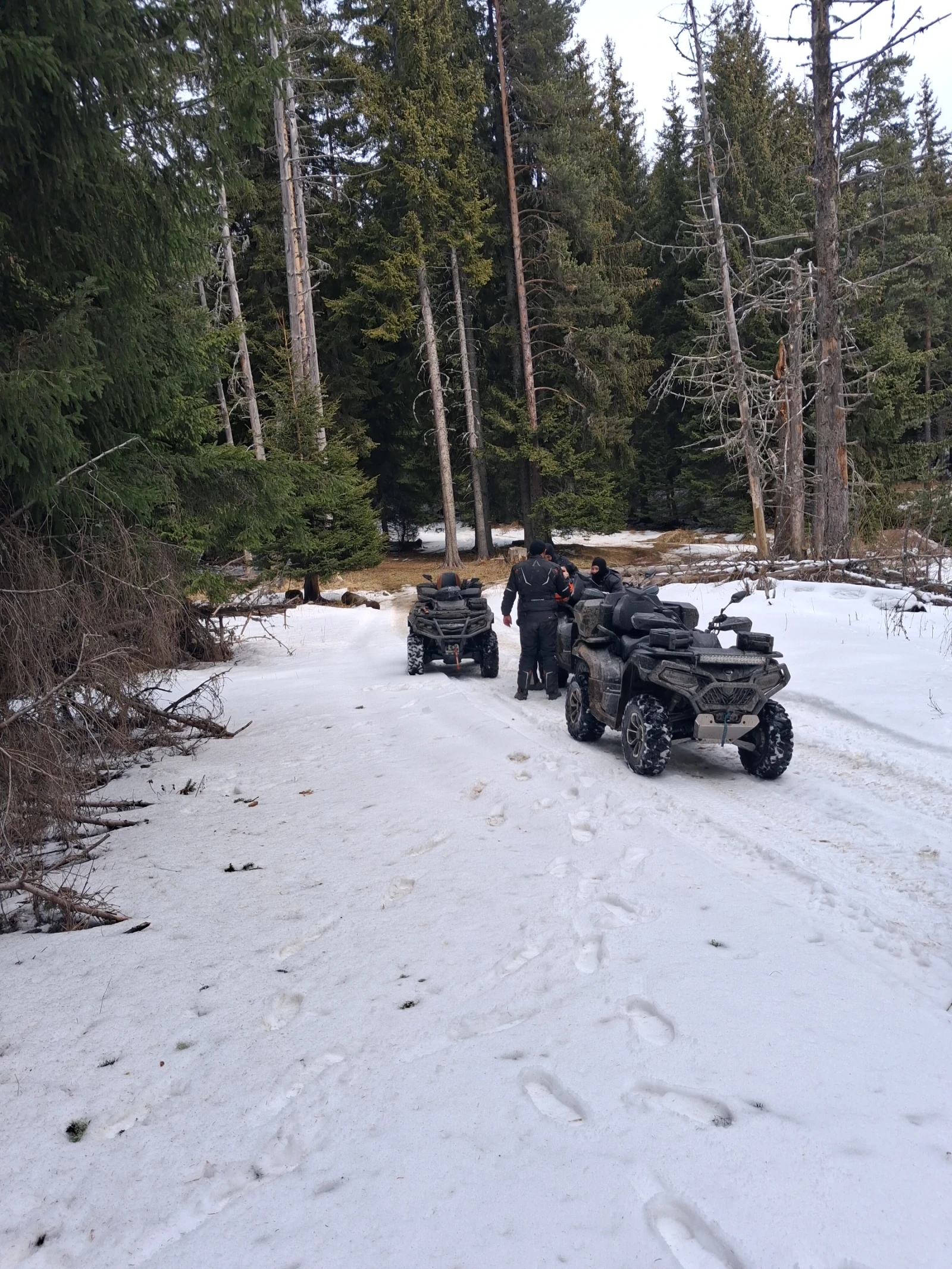 Cfmoto CFORCE CFORCE 625 TOURING | Mobile.bg � ����������� 10