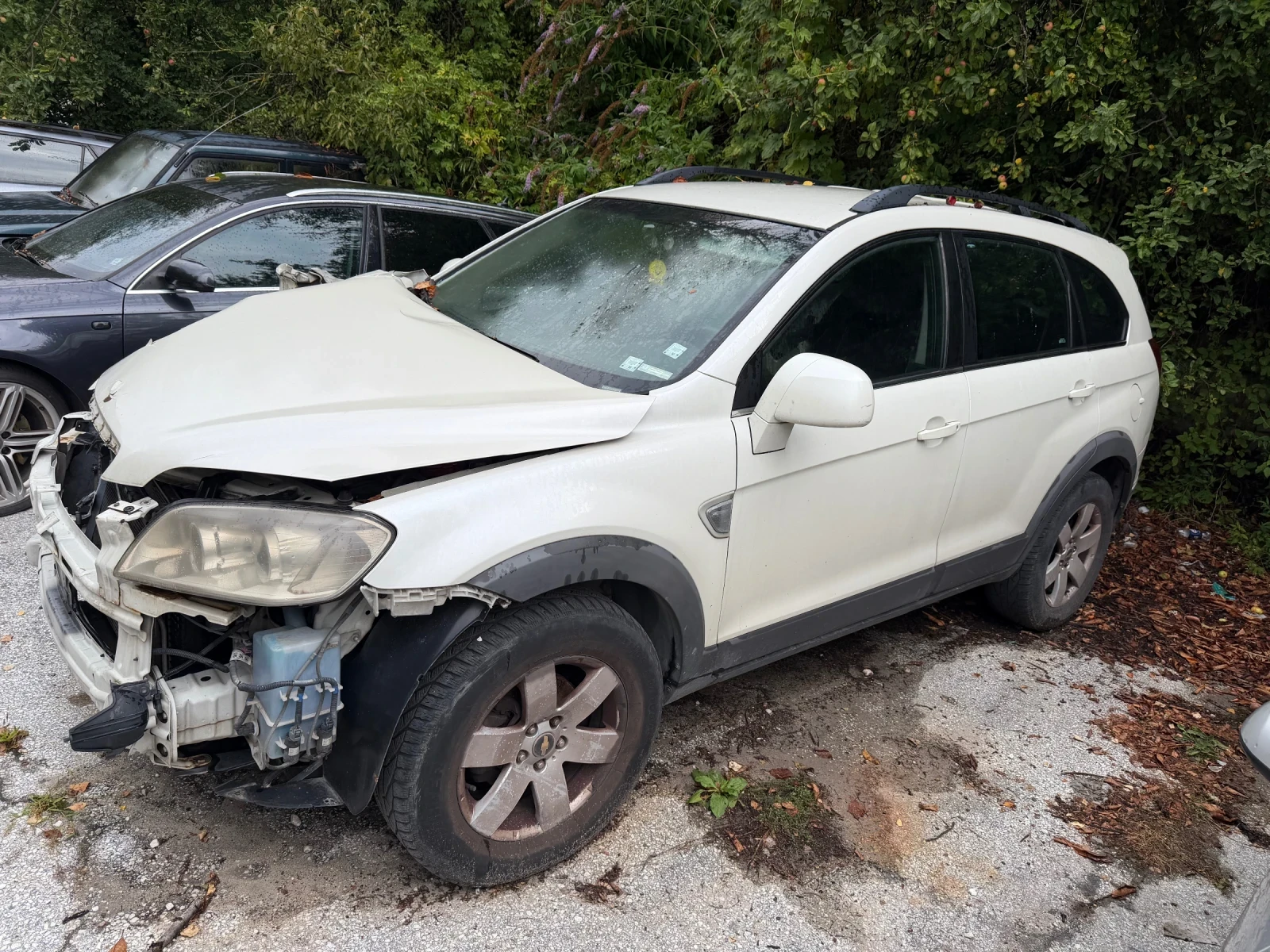 Chevrolet Captiva | Mobile.bg � ����������� 4