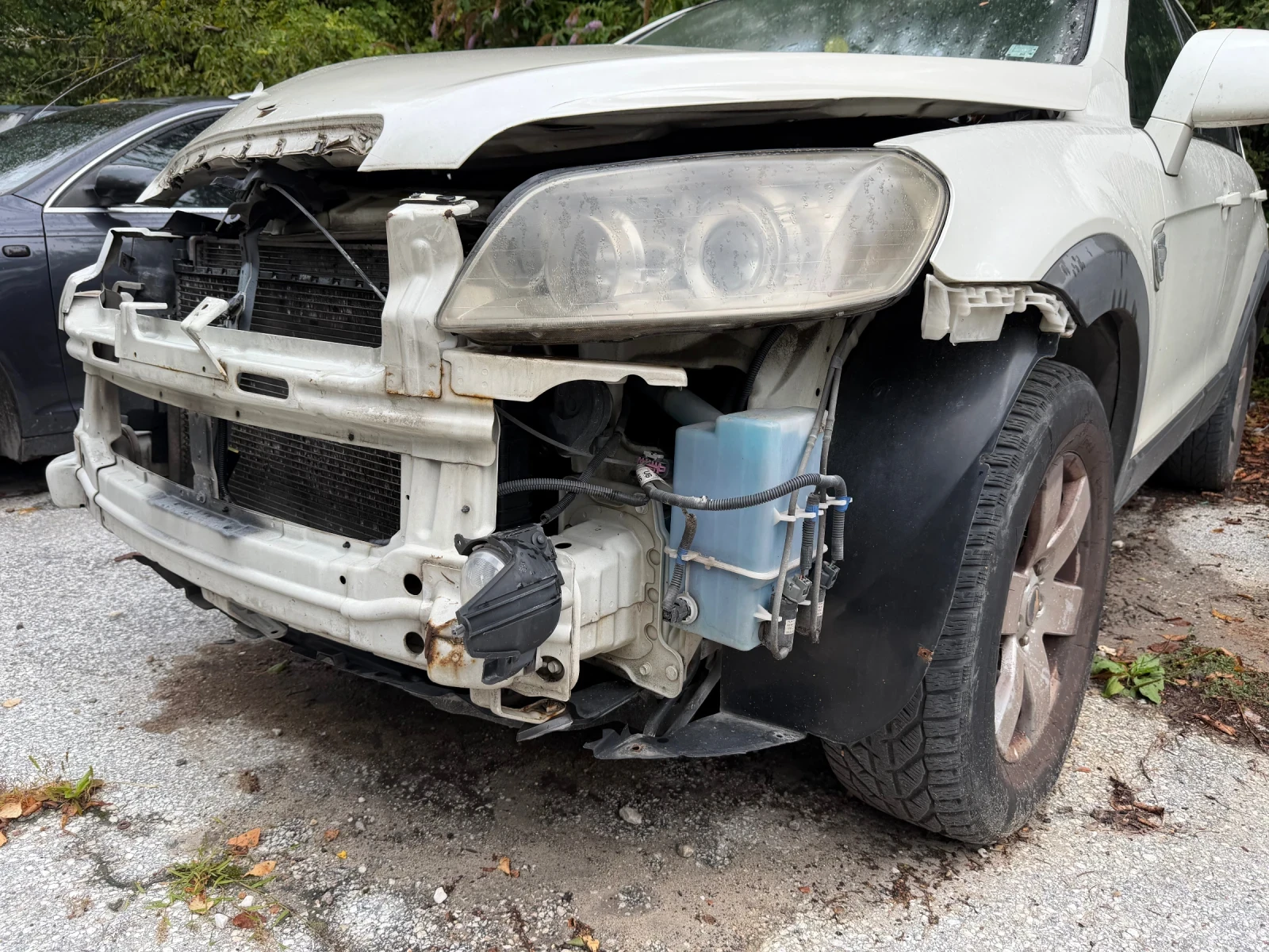 Chevrolet Captiva | Mobile.bg � ����������� 9