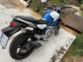 Suzuki Gladius, снимка 2