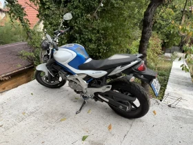 Suzuki Gladius  - изображение 1