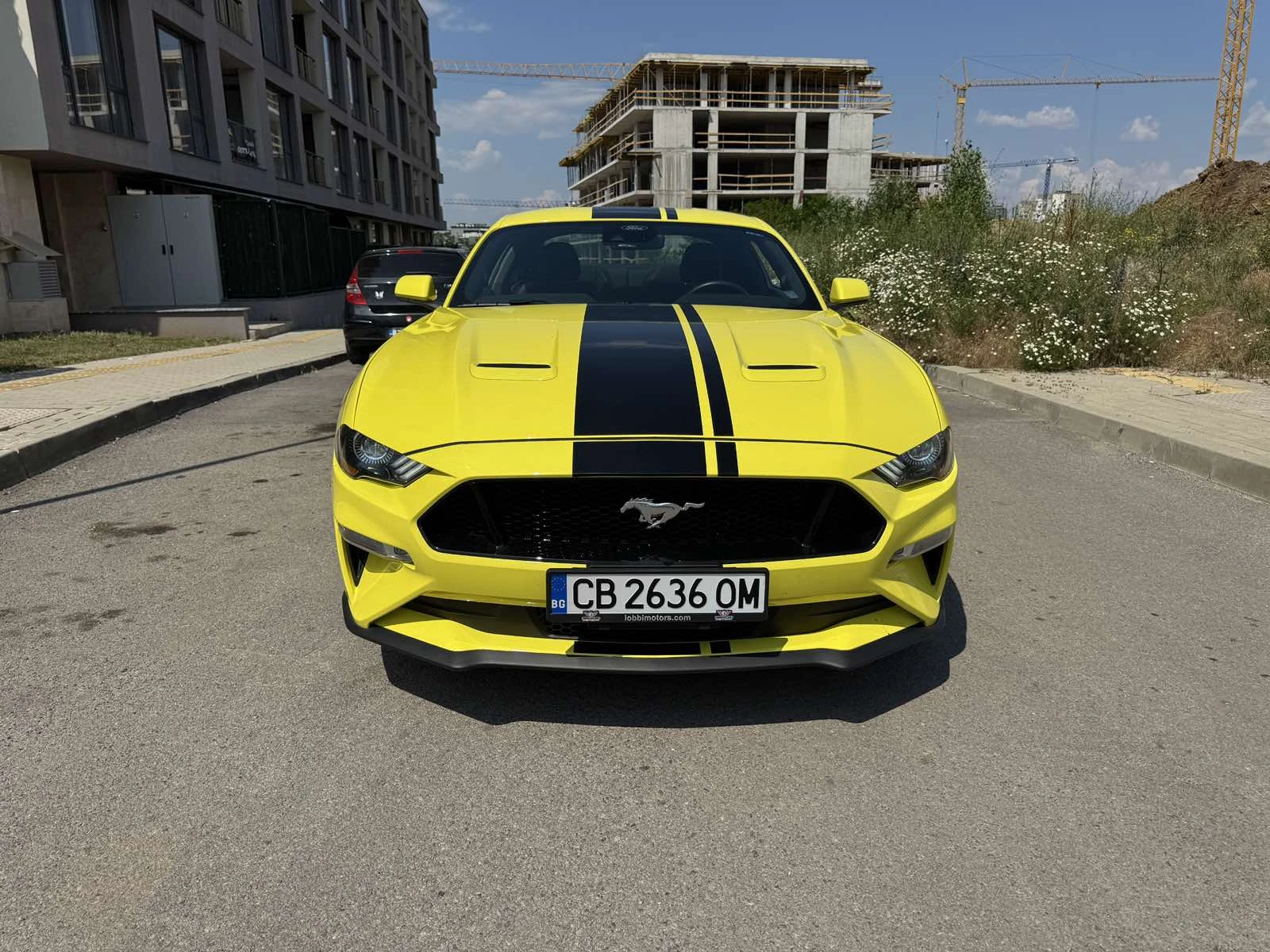 Ford Mustang 5.0 GT 3024км Без Удари РЪЧКА ГЕНЕРАЦИЯ СПОРТ, снимка 6 - Автомобили и джипове - 55078456