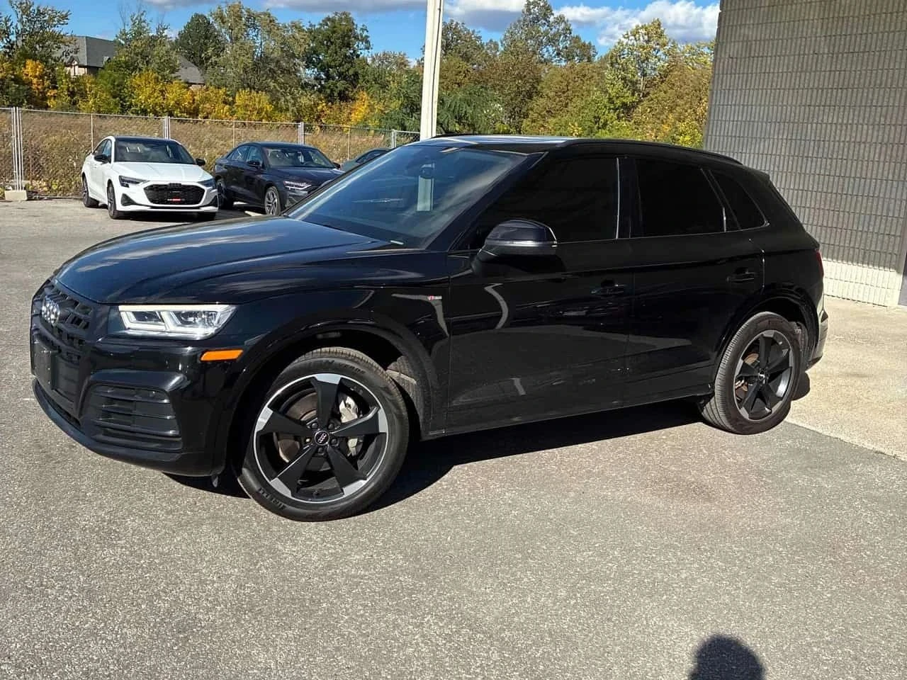 Audi Q5, снимка 2 - Автомобили и джипове - 56731896