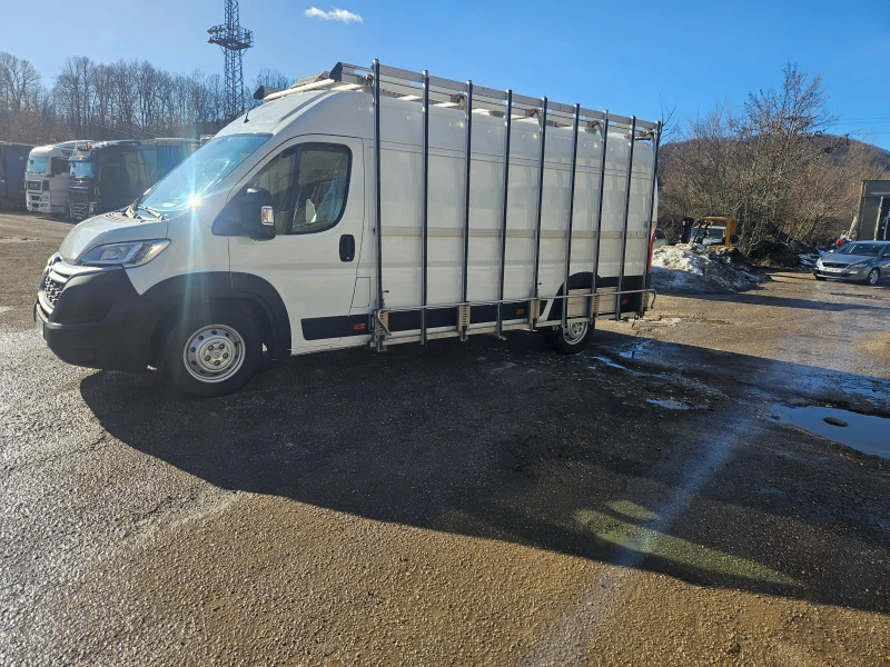 Citroen Jumpy 2.2 Дограма, снимка 1 - Бусове и автобуси - 48824653