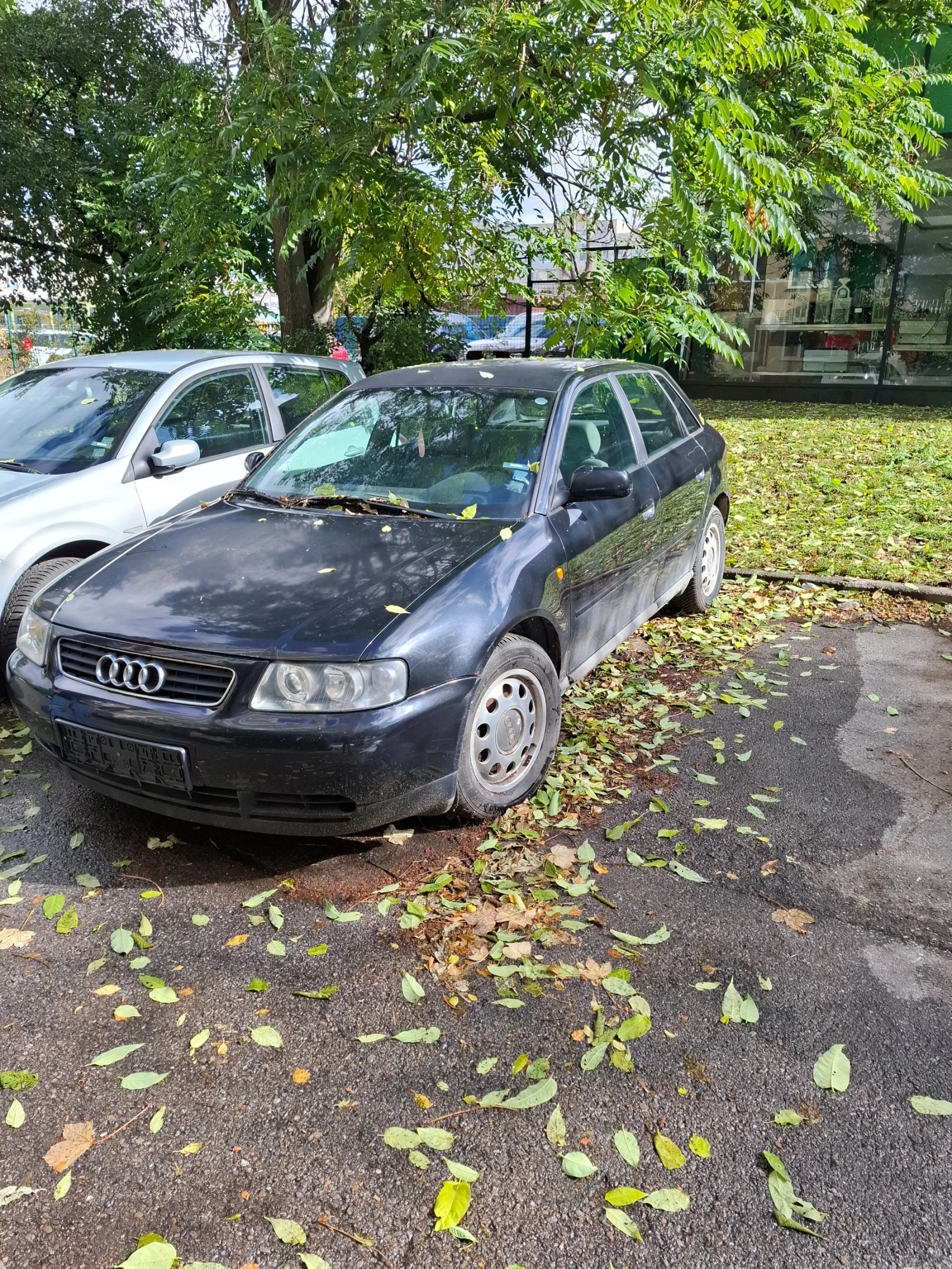 Audi A3  - изображение 2