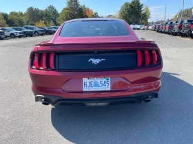 Ford Mustang * EcoBoost * CARFAX *    | Mobile.bg    4
