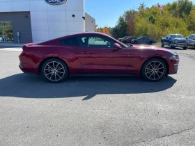 Ford Mustang * EcoBoost * CARFAX *    | Mobile.bg    3