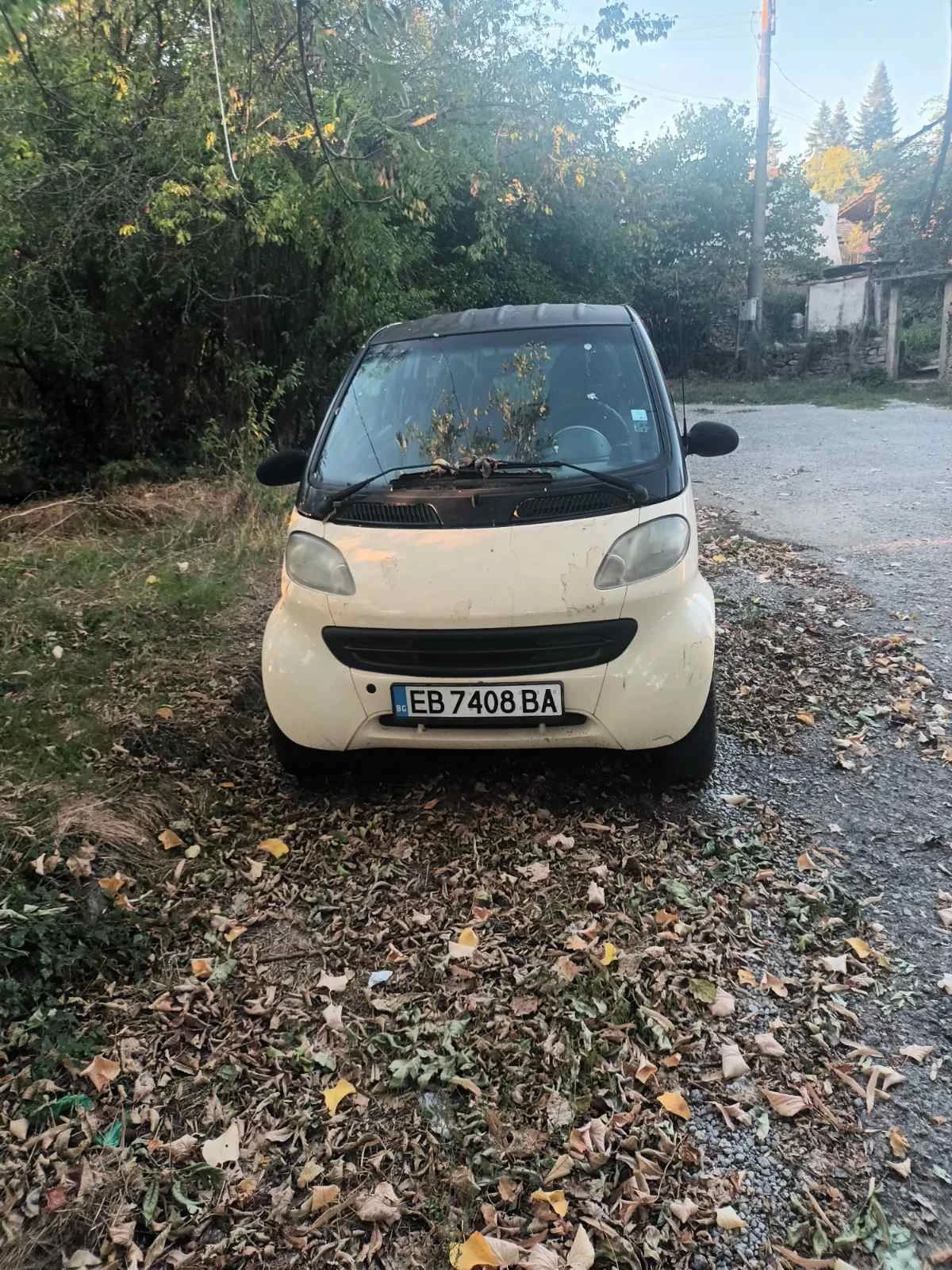 Smart Mc | Mobile.bg � ����������� 1