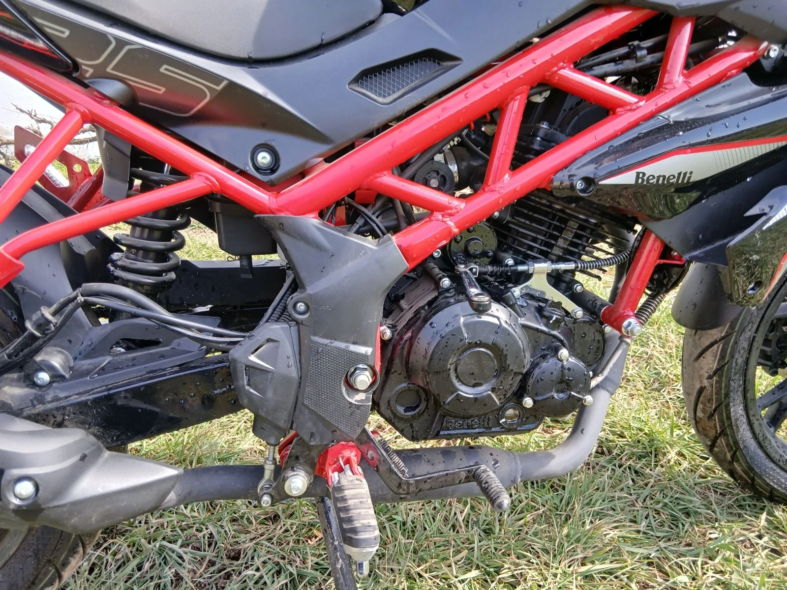 Benelli 125, снимка 4 - Мотоциклети и мототехника - 53714642