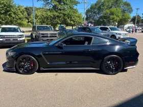 Ford Mustang * Shelby * CARFAX * ����� �� ����������� | Mobile.bg � ����� ������ 2