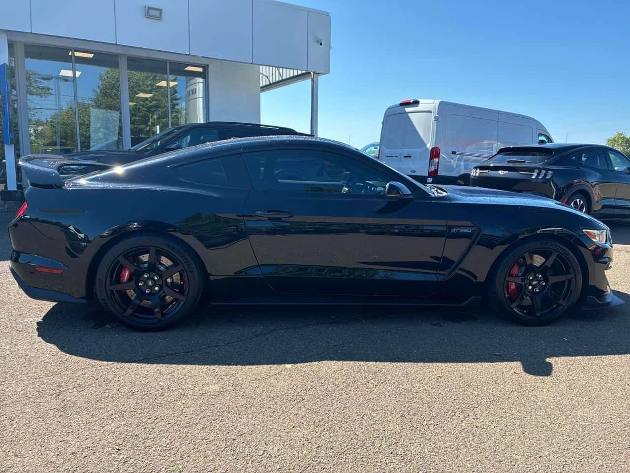 Ford Mustang * Shelby * CARFAX * ОПЦИЯ ЗА ФИНАНСИРАНЕ, снимка 3 - Автомобили и джипове - 55647616