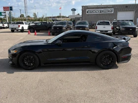 Ford Mustang * Shelby * CARFAX * ЦЕНА ДО БГ, снимка 2