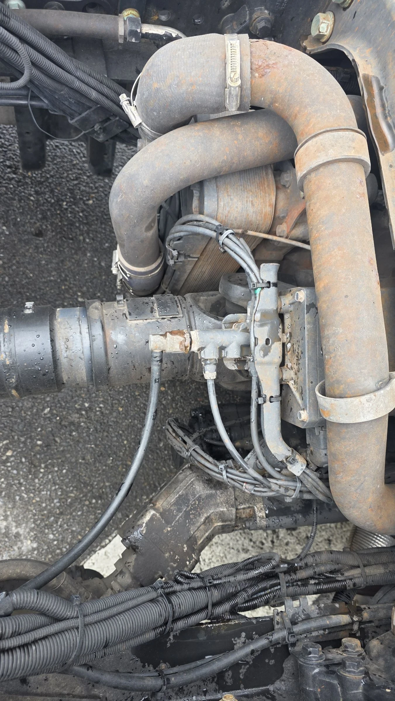 Man Tgx 18 460 EURO 6. ����������� �����  | Mobile.bg � ����������� 6