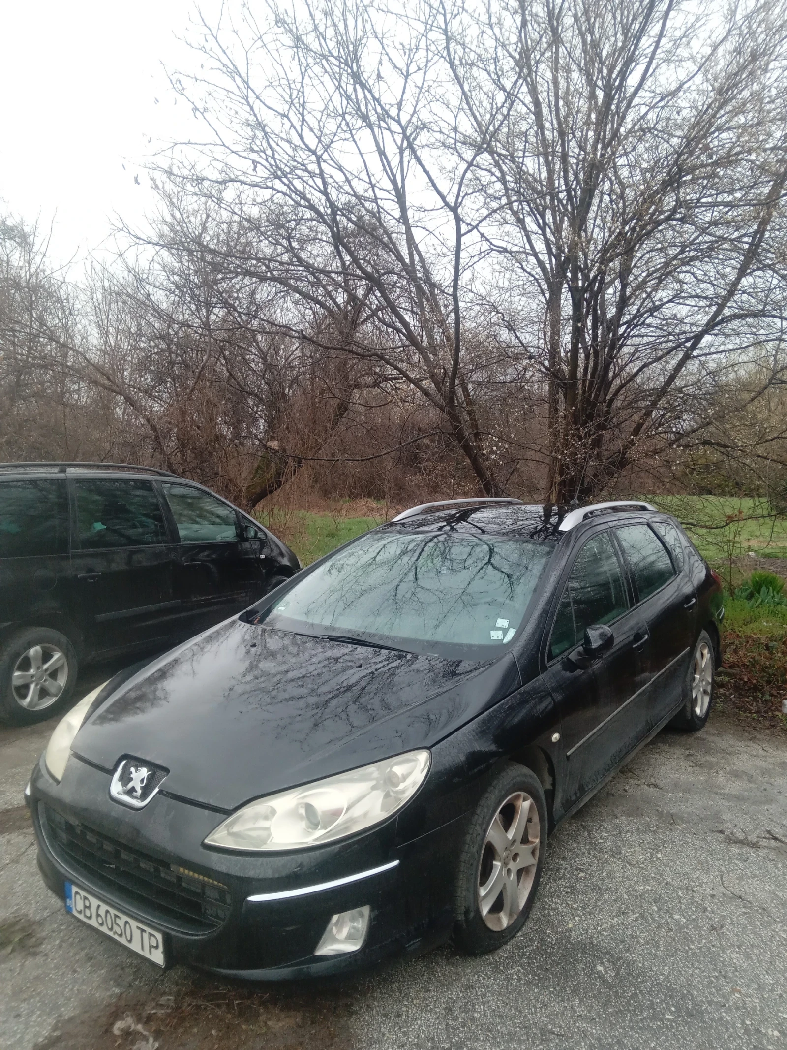 Peugeot 407 SW