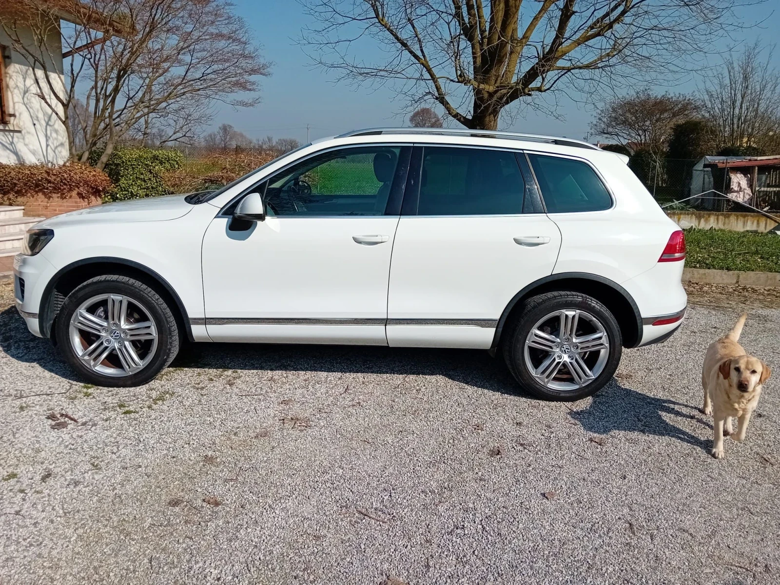 VW Touareg 3.0 TDI Tiptronic BlueMotion Techn. Executive, снимка 2 - Автомобили и джипове - 54123485