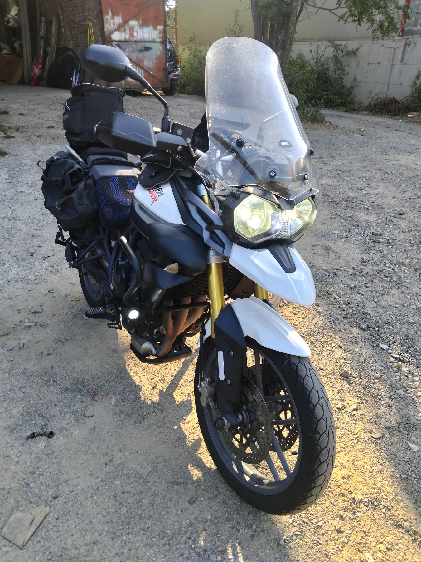 Triumph Tiger 800 - изображение 8