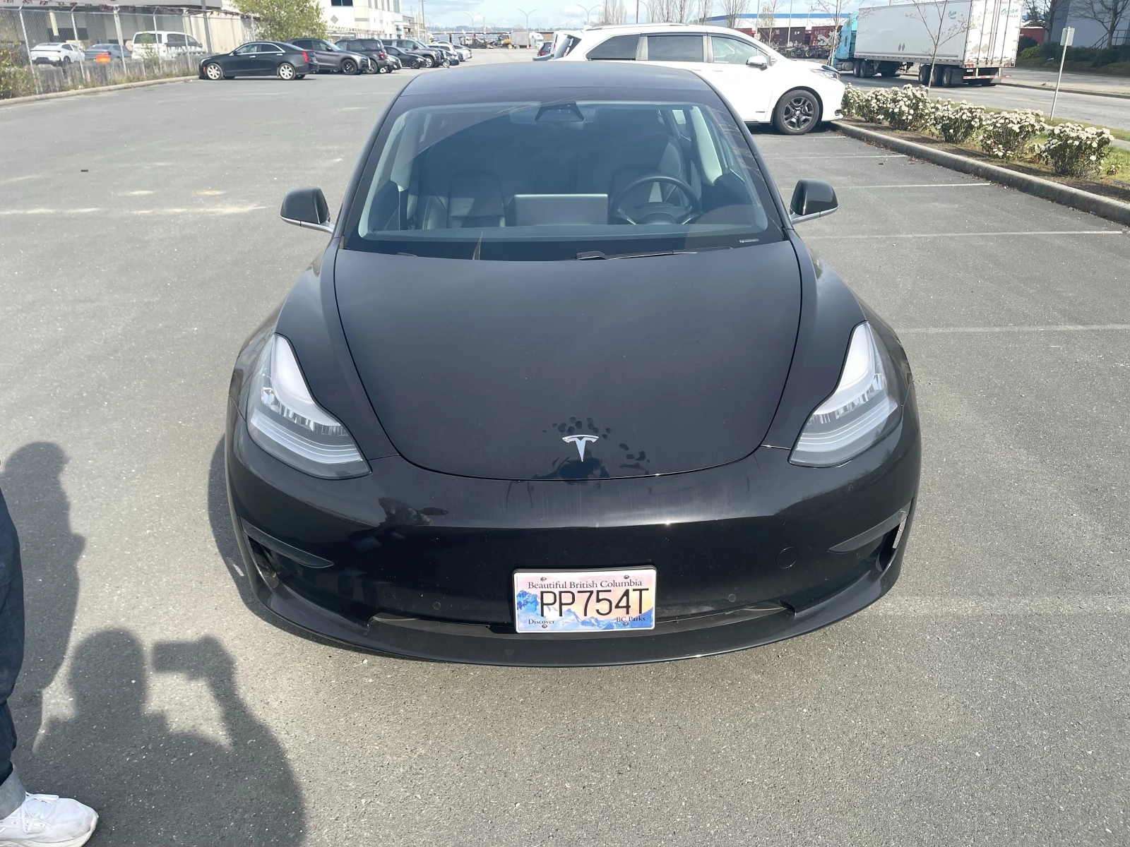Tesla Model 3 Standard Range Plus* RWD* �������* 27� �� | Mobile.bg � ����������� 2