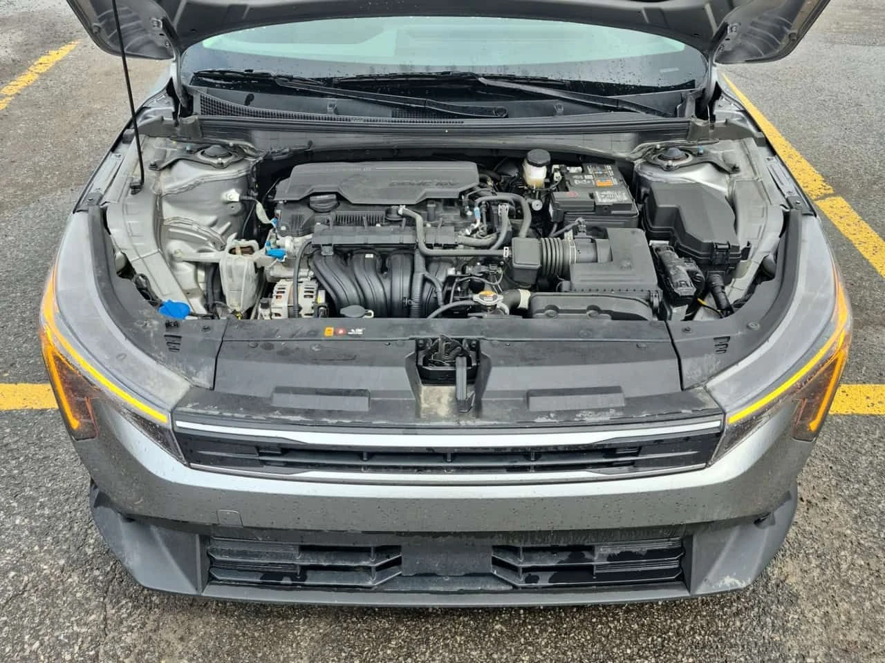 Kia K4 * EX * CARFAX * ���� �� �� | Mobile.bg � ����������� 15