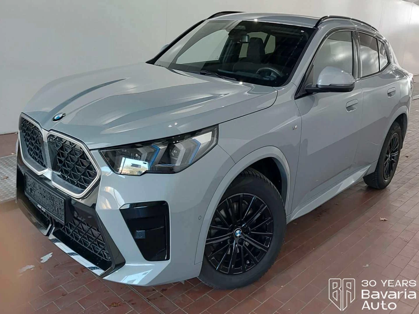 BMW X2 18d sDrive M Sport Paket Steptronic