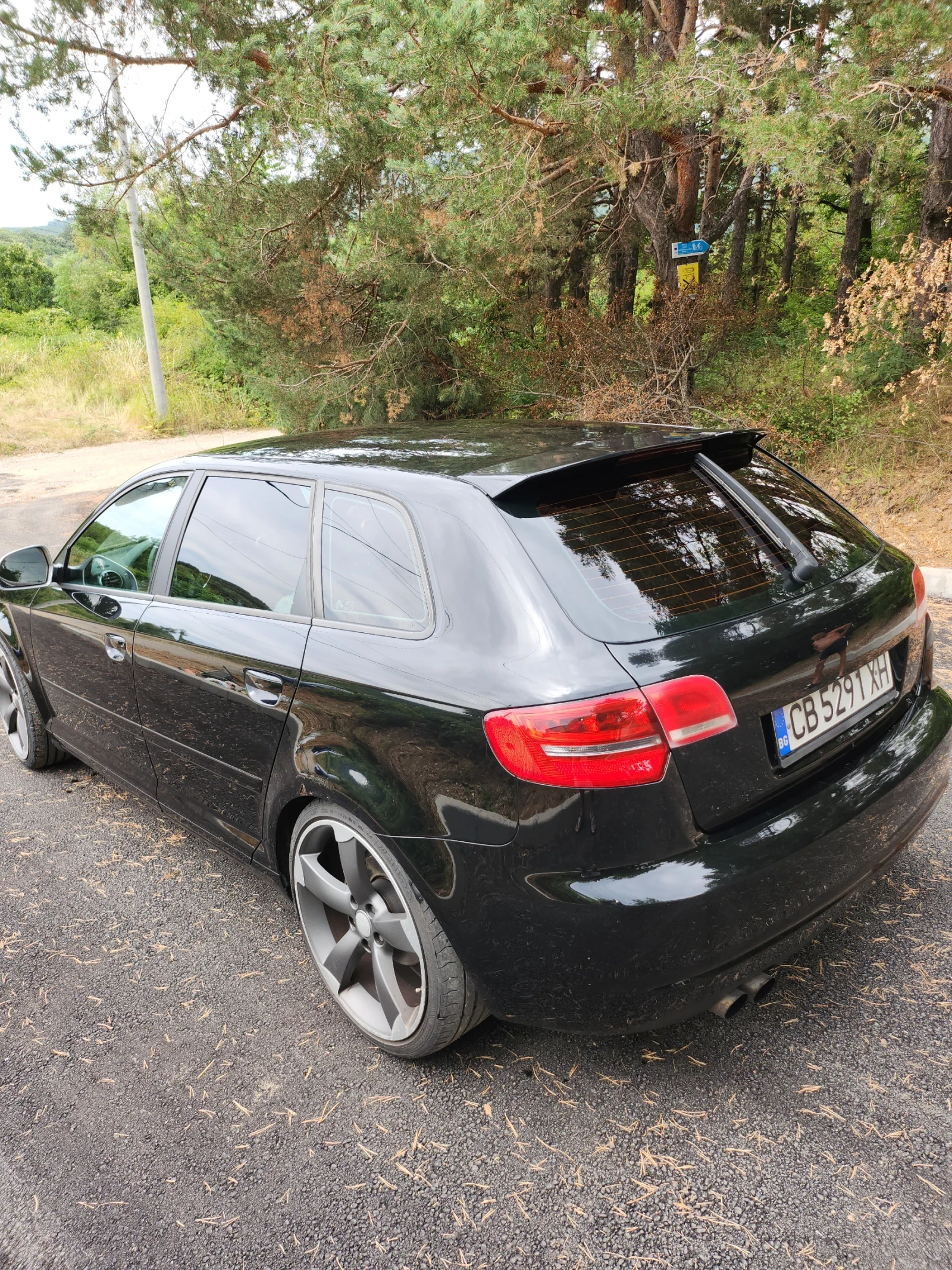 Audi A3 S  Laine 4х4 - изображение 6