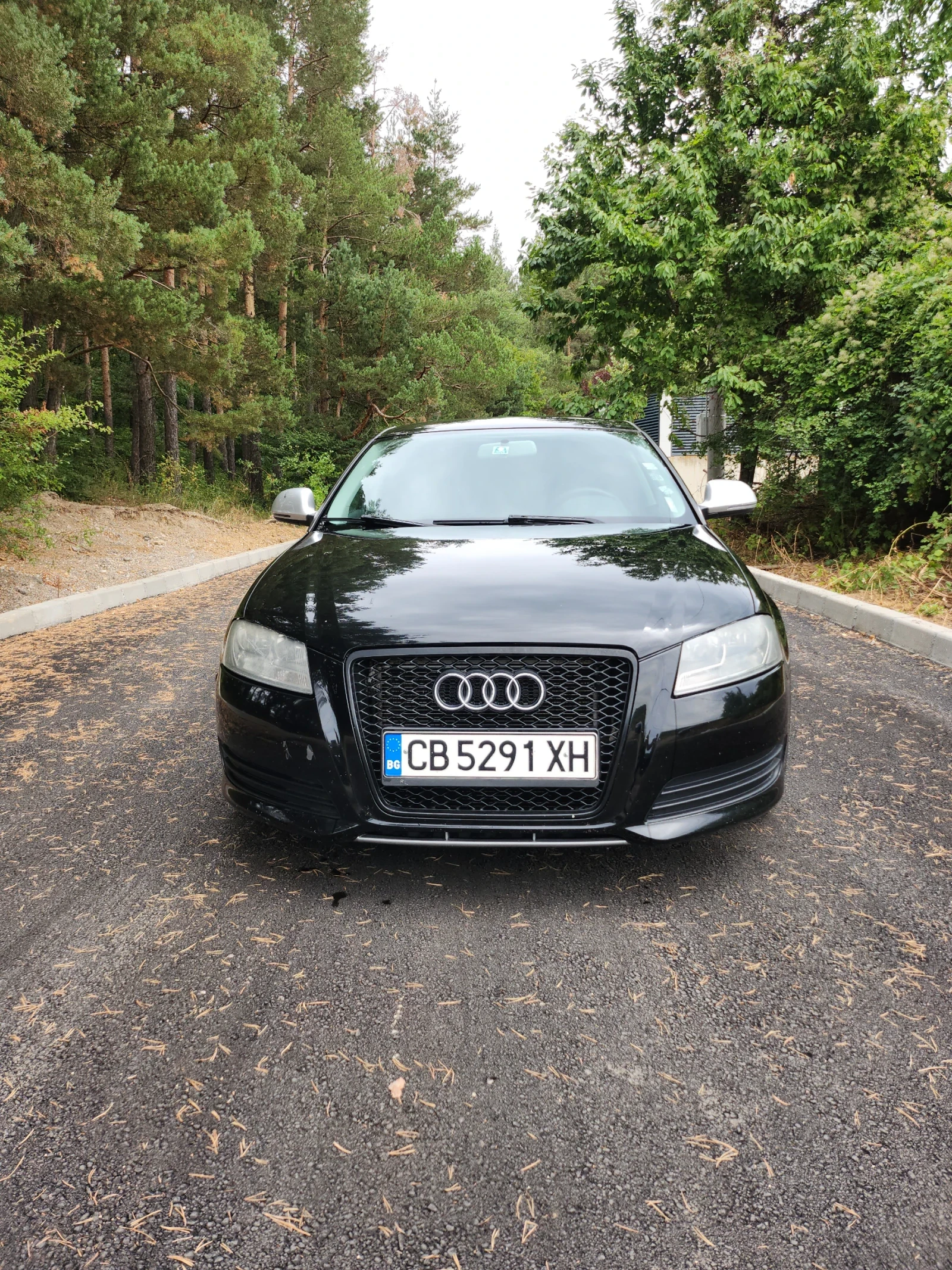 Audi A3 S  Laine 4х4 - изображение 3