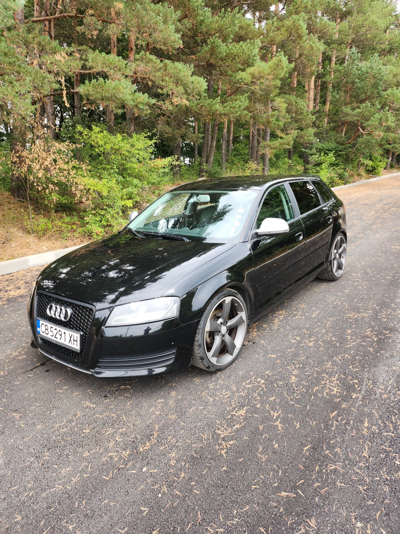 Audi A3 S  Laine 4х4 - изображение 2