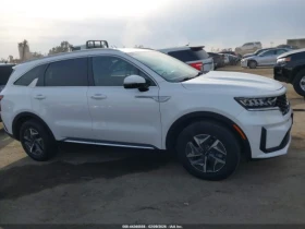 Kia Sorento HYBRID S - 16100 € / 31488.86 лв. - 81125406 7
