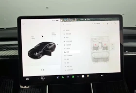 Tesla Model 3 Standard Range Plus, снимка 15