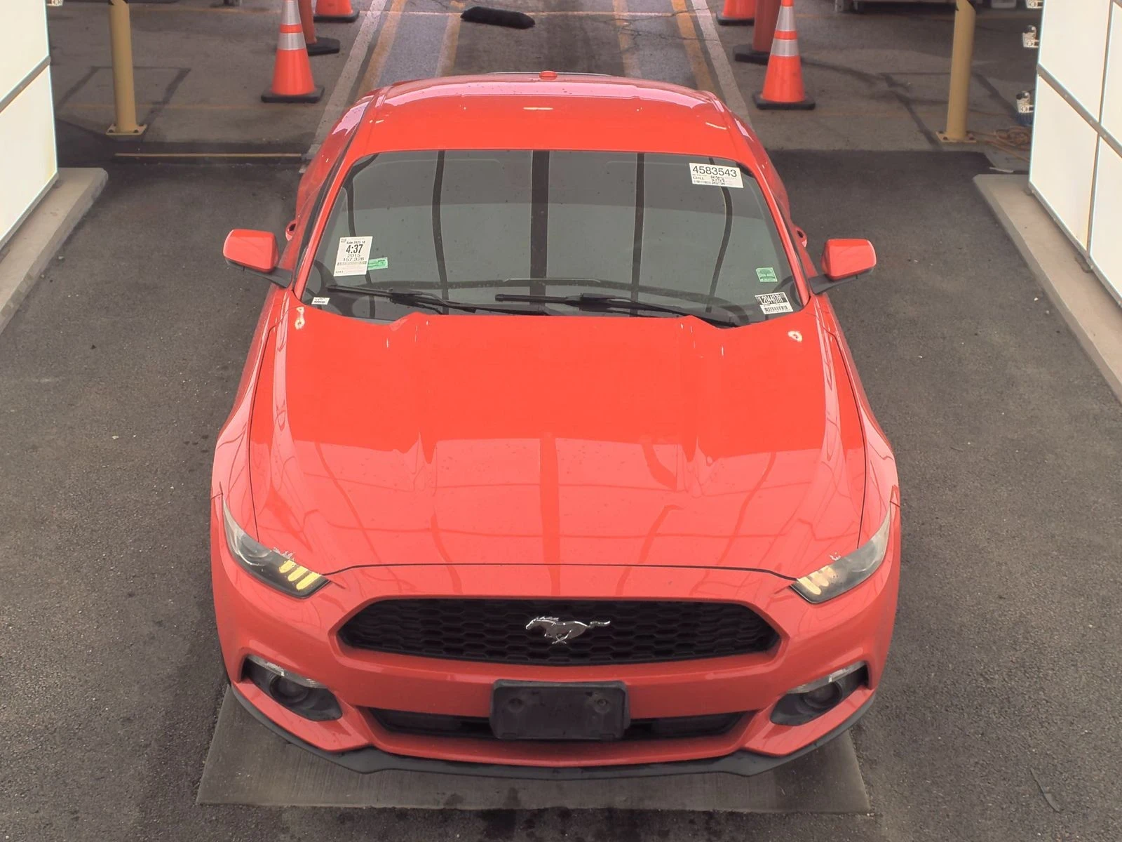 Ford Mustang  - изображение 2