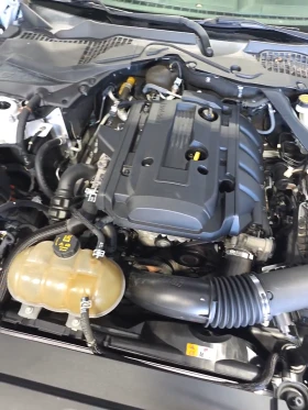 Ford Mustang Premium - 30500 лв. / 15594.40 € - 79527045 12