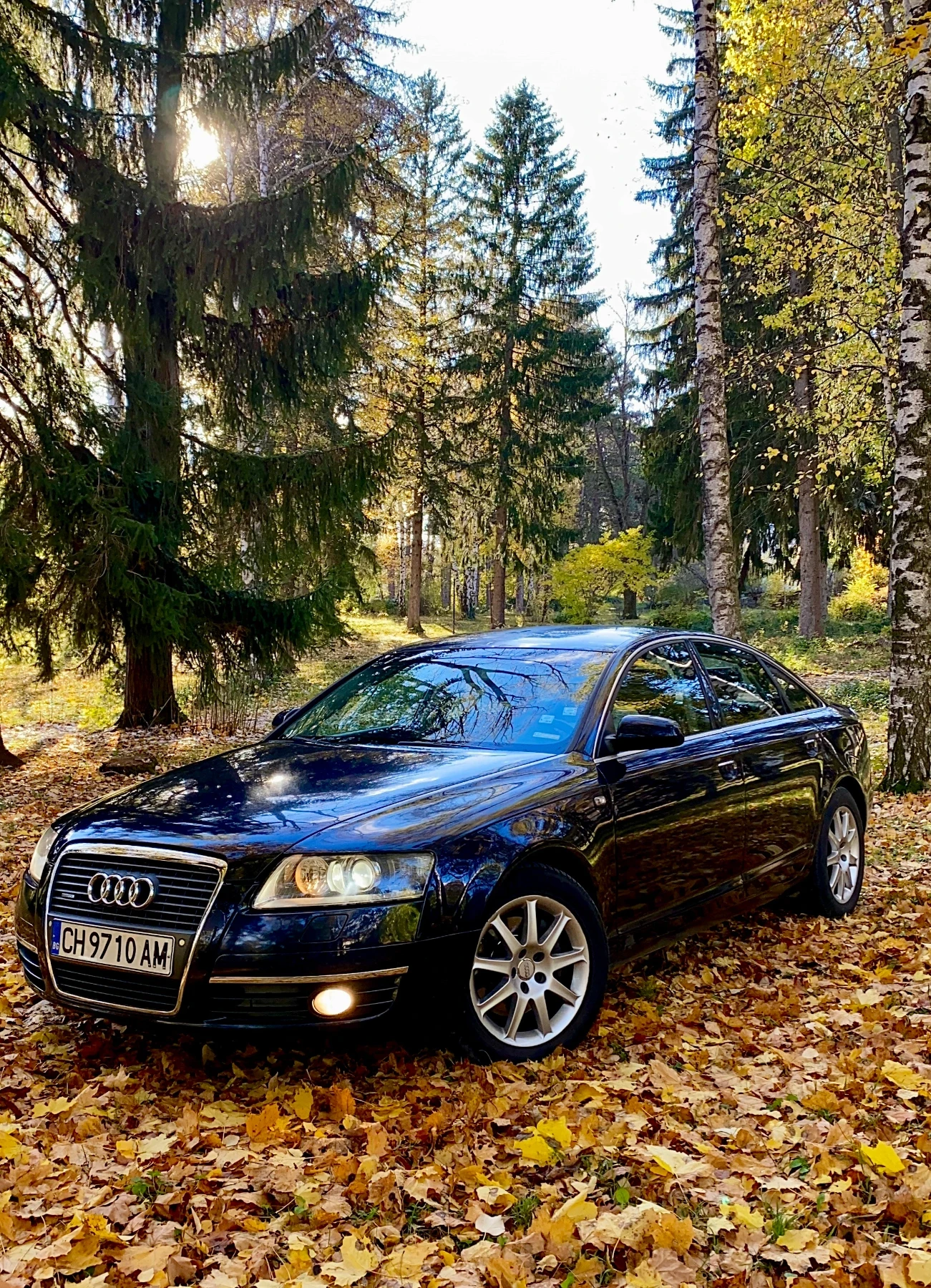 Audi A6 3.0TDI 224hp Quattro | Mobile.bg   1