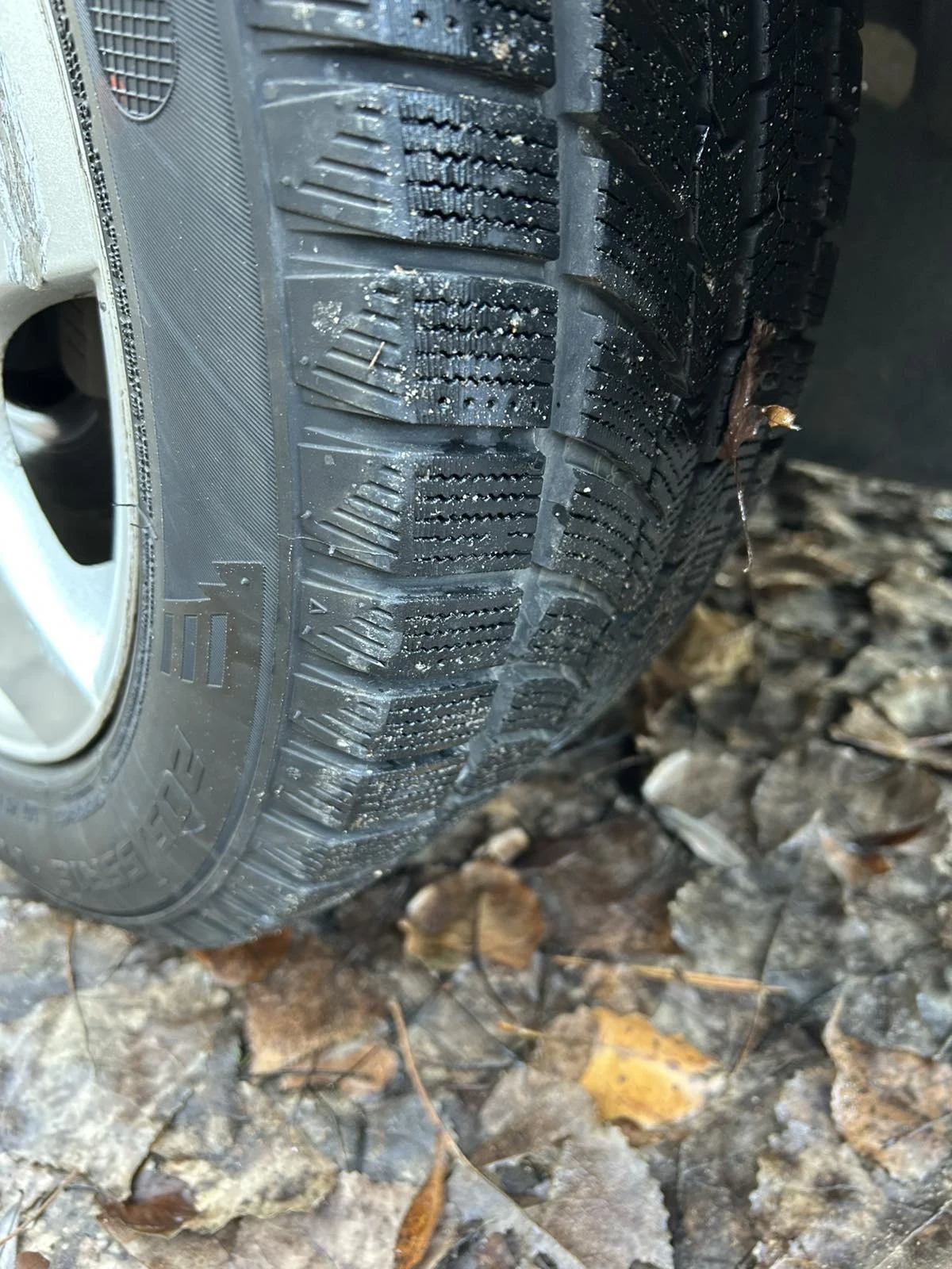 VW Beetle 1.6i  | Mobile.bg   12