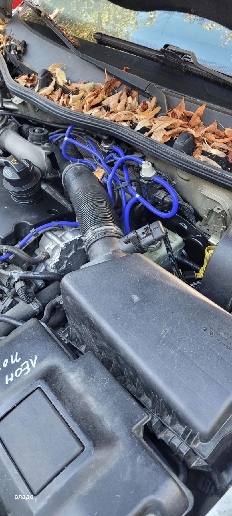 Skoda Octavia, снимка 7 - Автомобили и джипове - 56533864