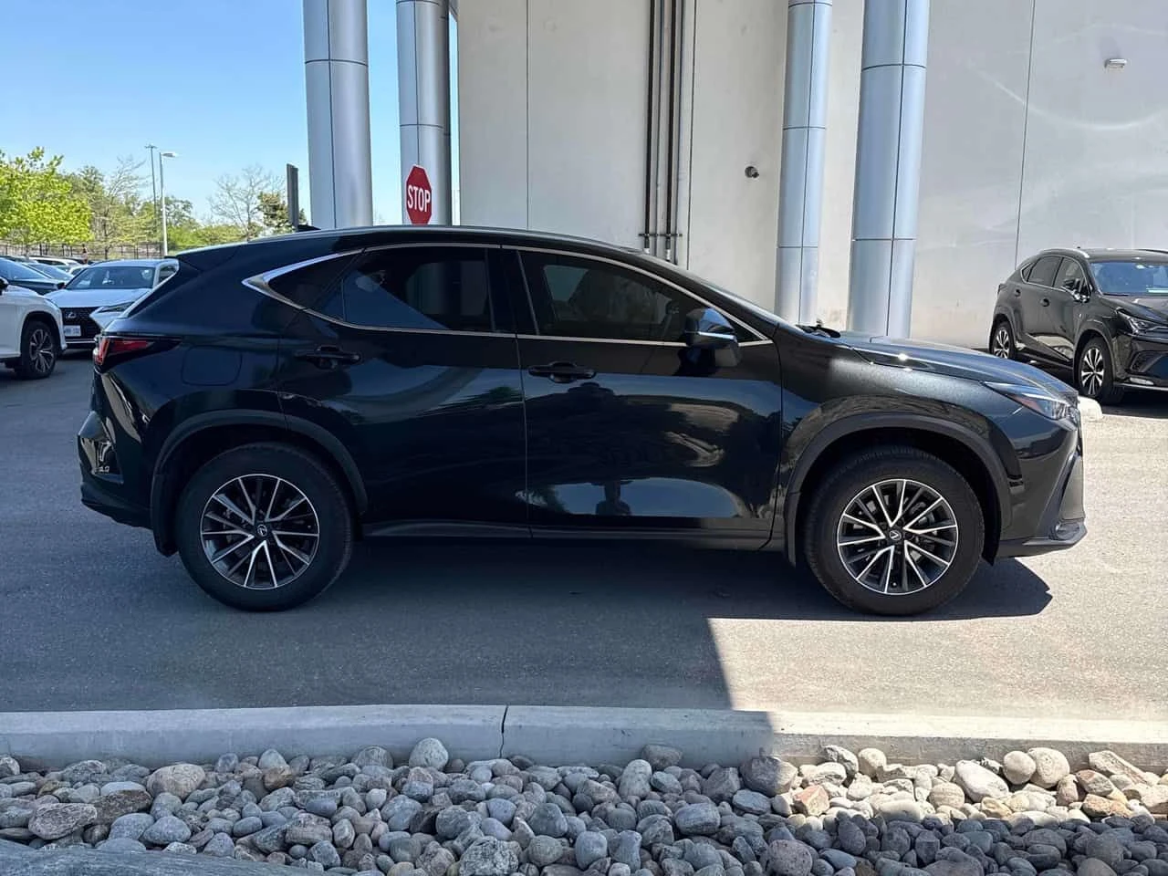 Lexus NX 450 450h+ AWD| ОТ ГЛАВНО ПРЕДСТАВИТЕЛСТВО| CARFAX, снимка 5 - Автомобили и джипове - 54684367