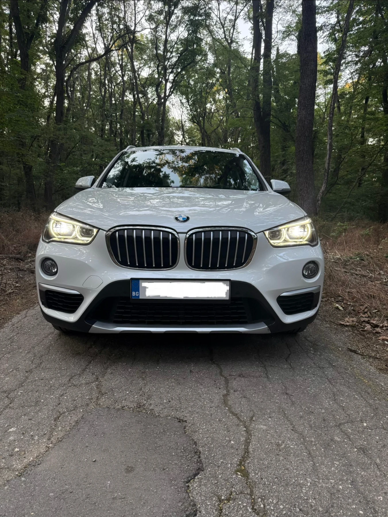 BMW X1 25d* xDrive* Driving Assistant Professional+ * HUD, снимка 2 - Автомобили и джипове - 55567896
