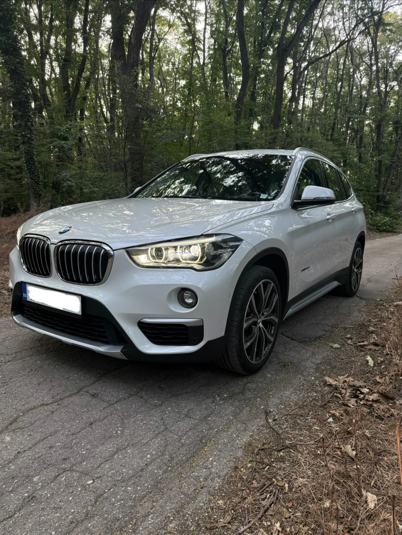 BMW X1 25d* xDrive* Driving Assistant Professional+ * HUD