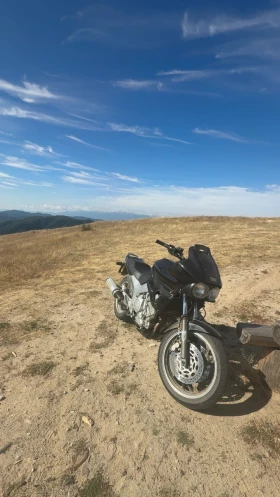 Yamaha Tdm | Mobile.bg    6