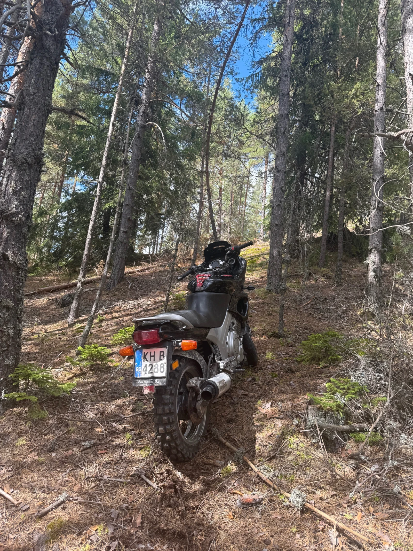 Yamaha Tdm  - изображение 5