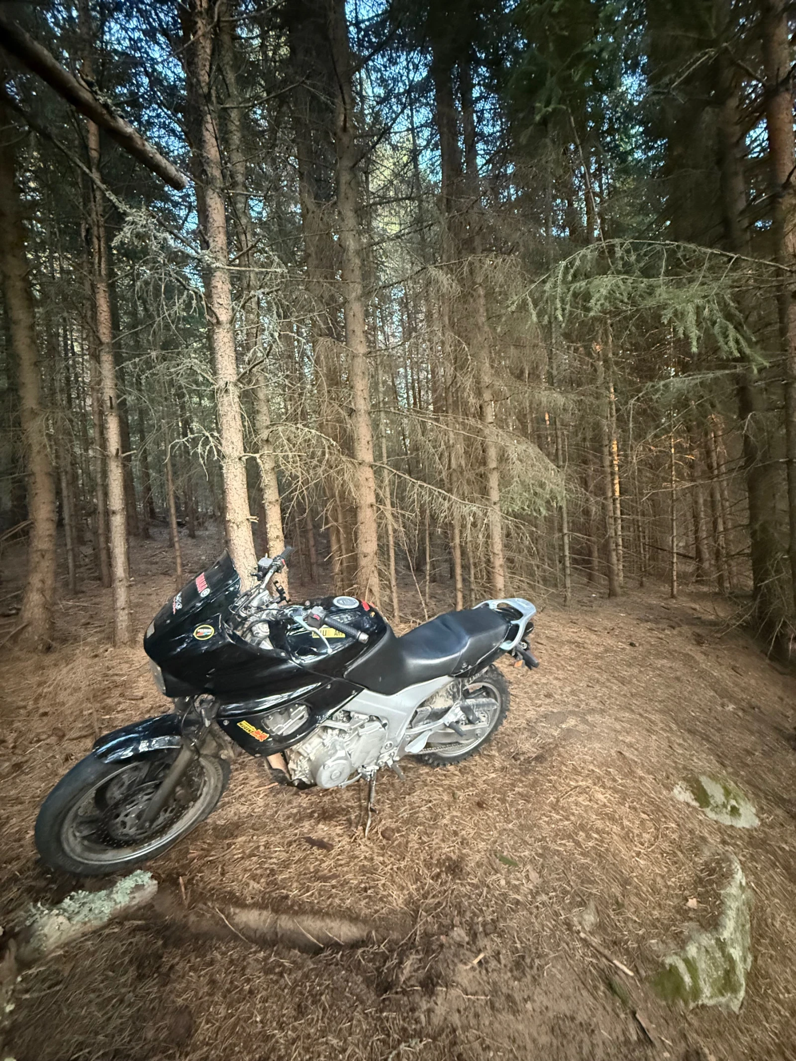 Yamaha Tdm  - изображение 3