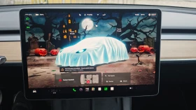 Tesla Model 3 Standard Range LFP, снимка 14